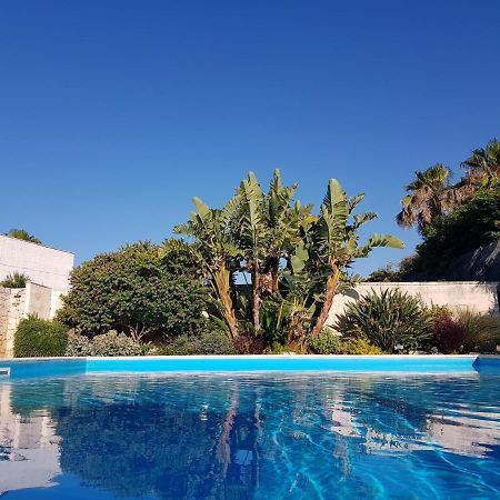 Villa Karmarea Mola di Bari Εξωτερικό φωτογραφία